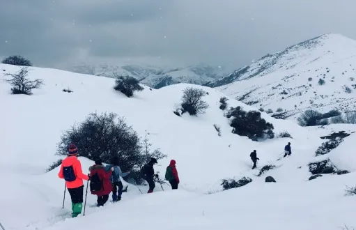 արշավախումբ