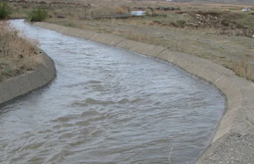 հասարակական