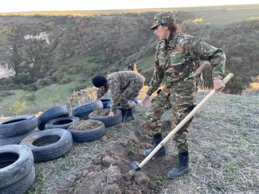 նկար