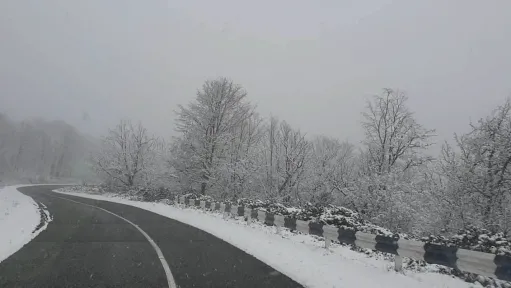 ձյուն ճանապարհ