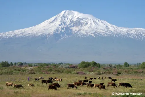 ՄԱԿ