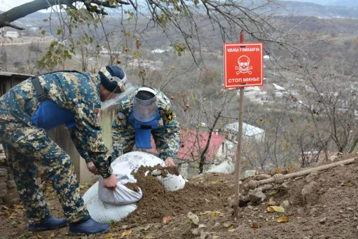 զինատեսակ