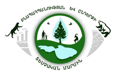 տեսչական մարմին 