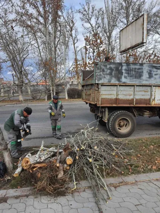 Հասարակություն