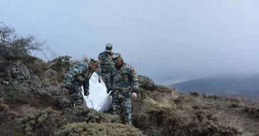 որոնողական