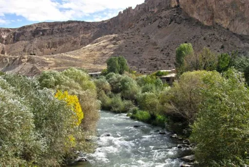 հասարակական