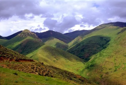 Հասարակական