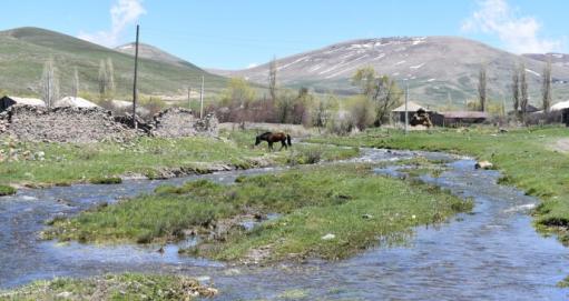 Հասարակական