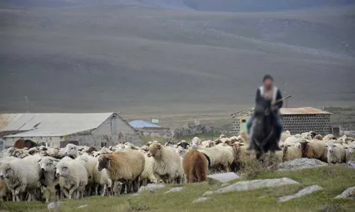 Հասարակական