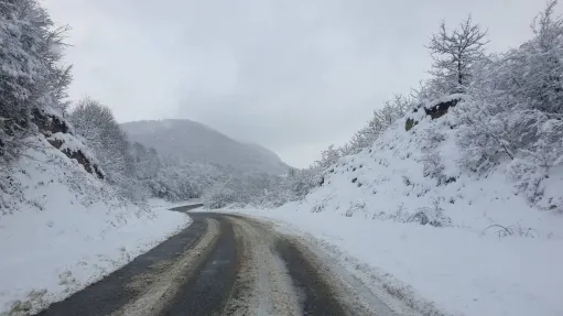 Հասարակական