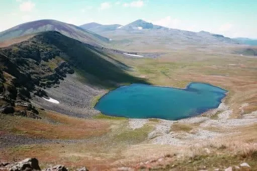 Հասարակական