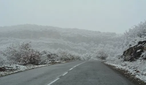 ճանապարհներ