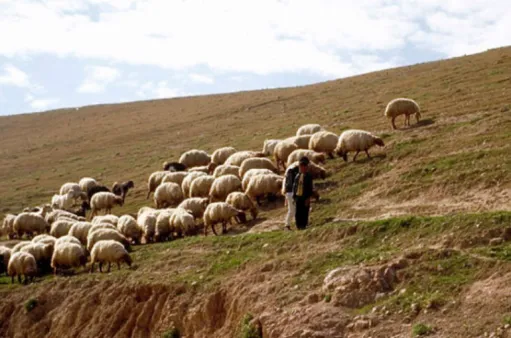 տռռեգտեռգ