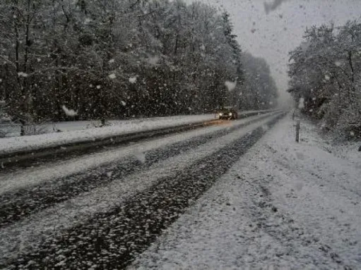 տռռեգտեռգ