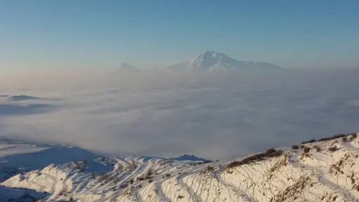 մառախուղ