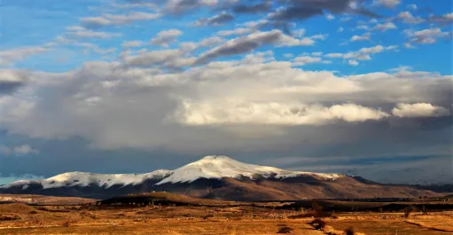 արարատյան դաշտ