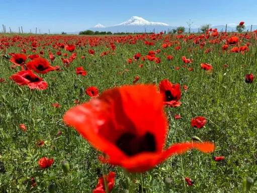 եղանակ