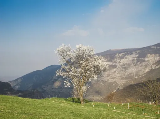 եղանակ