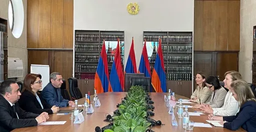 դեսպան քվին